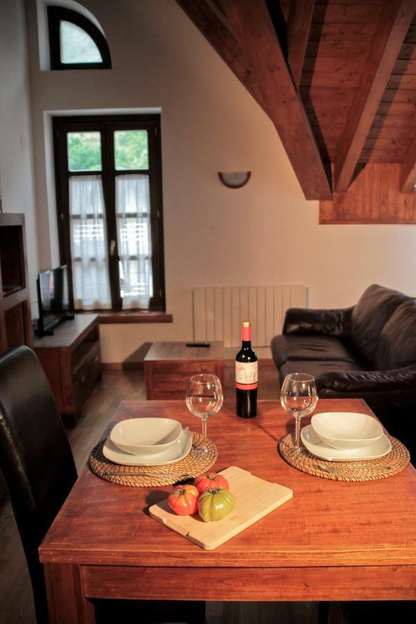 Cau D Aneu Duplex En El Centro D Esterri D Aneu 埃斯特里-德阿内乌 外观 照片